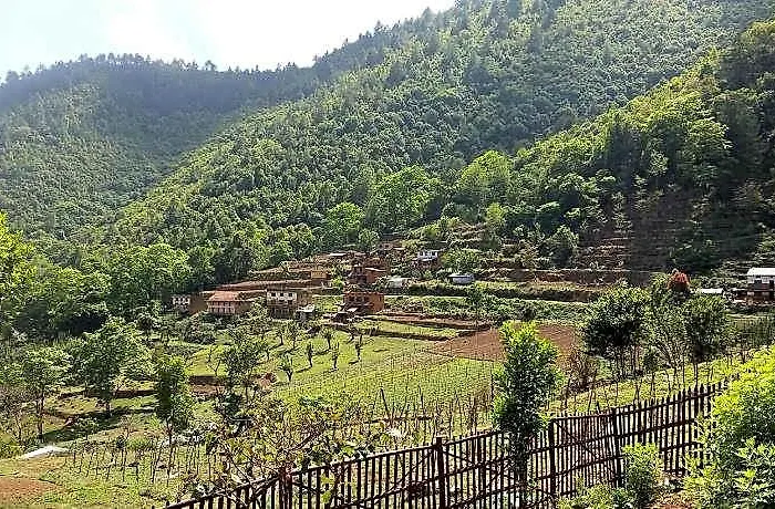 Solid Rock - And Restaurant Hotel