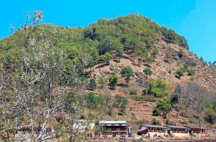 Solid Rock - And Restaurant